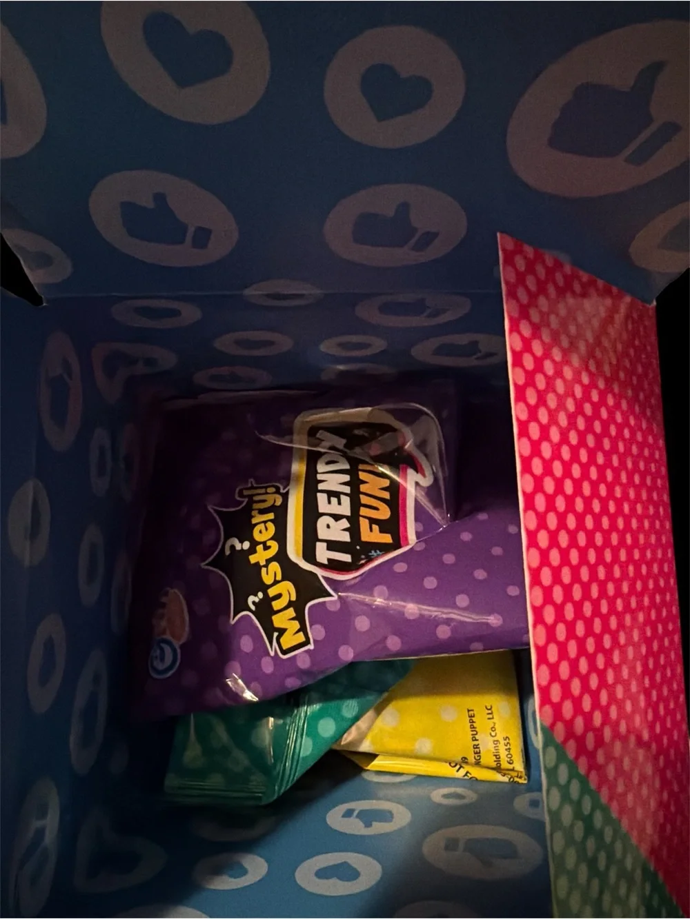 Trendy Fun Mystery Toy Kit
